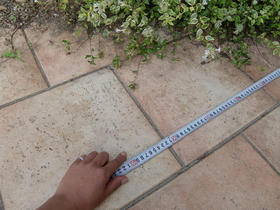 090825_gardengentyou.JPG