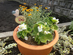 090914_niwa_kuma_stei4.JPG