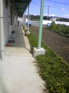 090914_庭　熊本S邸施工前2.JPG