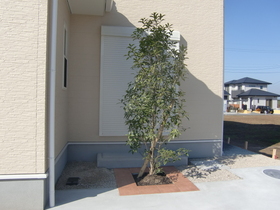 091127_garden_gaikou_nakamura5.JPG
