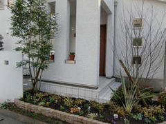 植栽工事　熊本市Ｈ様邸　2009年12月