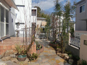 100203_garden_after1.JPG