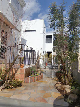 100203_garden_after2.JPG