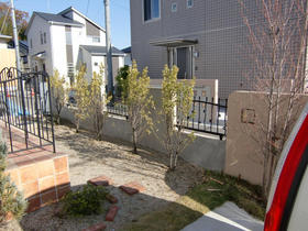 100203_garden_before.JPG