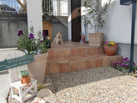 100203_garden_gennkann.JPG