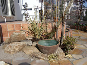 100203_garden_mizubati.JPG