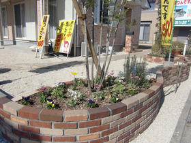 100225_garden_hiraki_after4.JPG