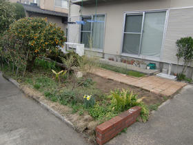 100620_garden_t_before2.JPG