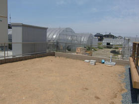 110815_garden_tuti_be2.JPG