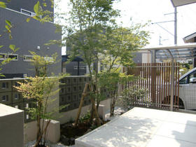 110828_garden_haya_af2.JPG