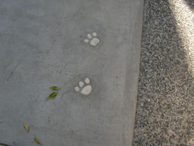 111025_garden_cocomaaf5.jpg