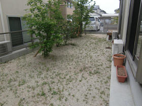 1112010_garden_sugibe1.jpg