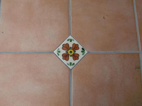 111210_garden_kobaaf4.JPG