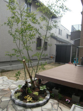 120603_garden_wata2.JPG