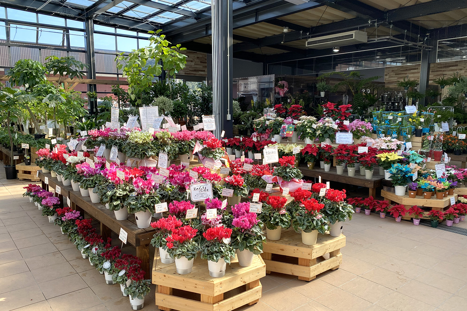 ナーセリーズ3g（グロウ・ギア・ガーデン）