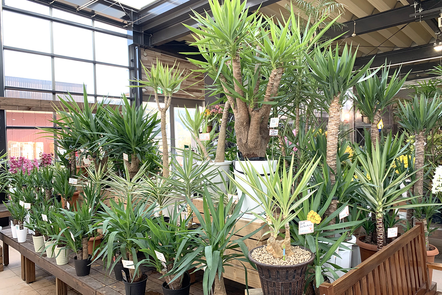 ナーセリーズ3g（グロウ・ギア・ガーデン）