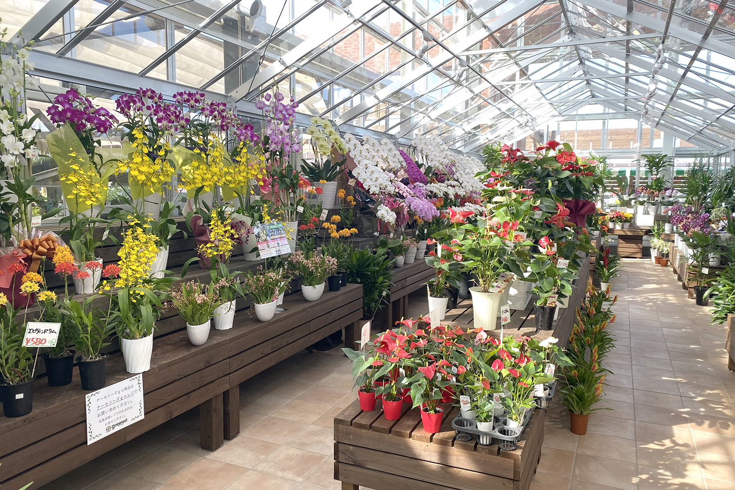 ナーセリーズgn（グリーネスト）