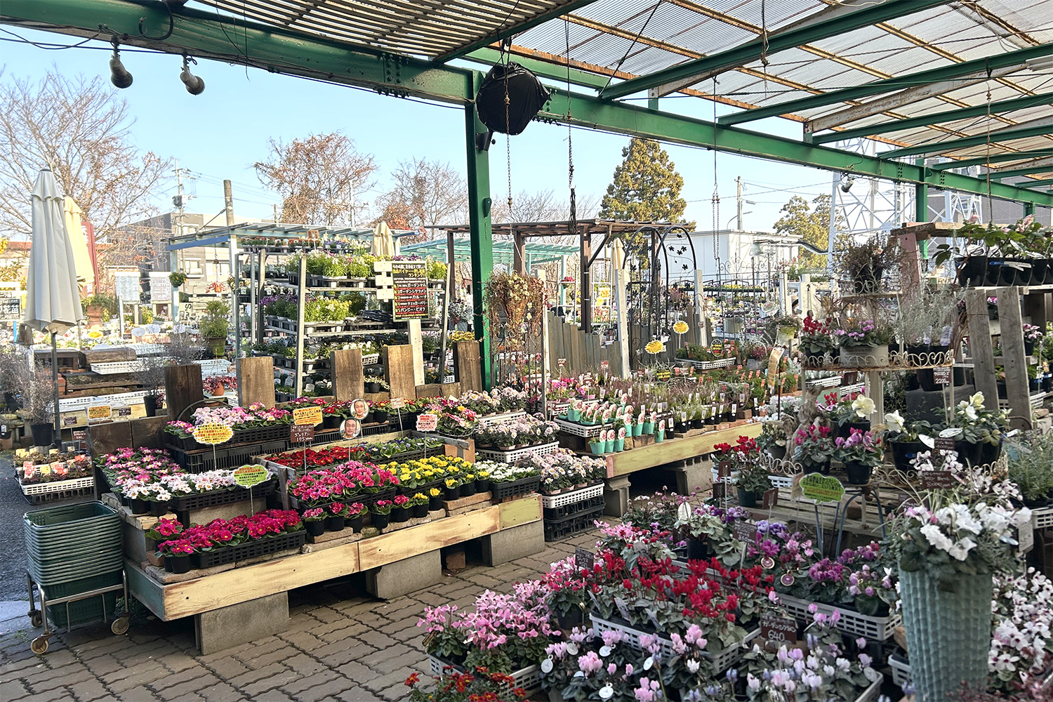 ナーセリーズ本店　元祖火の国園芸