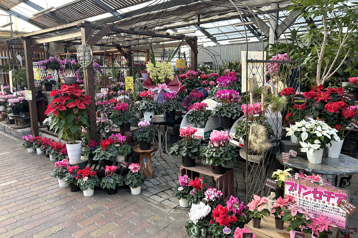 ナーセリーズ本店　元祖火の国園芸