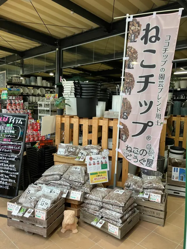 こんにちはฅ( ̳• ·̫ • ̳ฅ)
用土コーナーより、再入荷のお知らせです📢
　🐾　猫の道具屋さんの「猫チップ」　🐾

もうおなじみかと思いますが、
猫チップとは📝
名前から猫砂を想像してしまいますが、実はココチップとひゅうが土、日向かる土をブレンドした、土の代わりに使える素材なんです✨
（pHは約5.5〜6.0👌）

　🐈‍⬛　 猫チップの特徴　🐈‍⬛

✔ 抜群の水はけ・通気性で根腐れしにくい

✔ 土のように手が汚れにくく、粉塵も少ない

✔ コバエなどの虫が発生しにくい

✔ 根が元気に育ち、植物が健康に大きく育つ

「よーく根が育つ！」というお客様の声もあったので、私も試してみました💪

いつもはナーセリーフ一択！なのですが、（こっちも団粒構造でふっかふか🥰）
土を入れるのを躊躇うくらいの可愛い鉢があるので、これに猫チップを投入！サイズはMサイズにしました。

植えたのは、迷彩柄の葉がかっこいい
🪴ホマロメナ カモフラージュ

湿度高めが好きな子なので、霧吹きもしながら育てていこうと思います。

最初は水はけがとても良いので、数日はジャバジャバとたっぷりお水を。
その後は様子を見ながら、2〜3日に1回くらいのペースで管理していく予定です🚿

さらに、鉢の下に猫チップを敷いて、通称「猫ベッド」にしてあげると、水分が早く抜けて管理しやすくなります😼

正直、「猫チップ、ちょっとお高いな〜🤔」と思っていたのですが…

植えてみると、根っこが育っていくワクワク感がたまりません👍

「まずは一鉢だけ…」と思っていたのに、少しずつ増えてしまいそうです🪴

他に、

⚫︎根っこが見えるクリアポット
⚫︎猫の登り棒（園芸用支柱）

もご用意しています👍

うちのフィロデンドロンも暴れ始めているので、次は登り棒を試してみようと思います♪

牟田でした🐾

#猫チップ
#猫の道具屋
#ナーセリーズ3g
#ホマロメナカモフラージュ
#植物のある暮らし