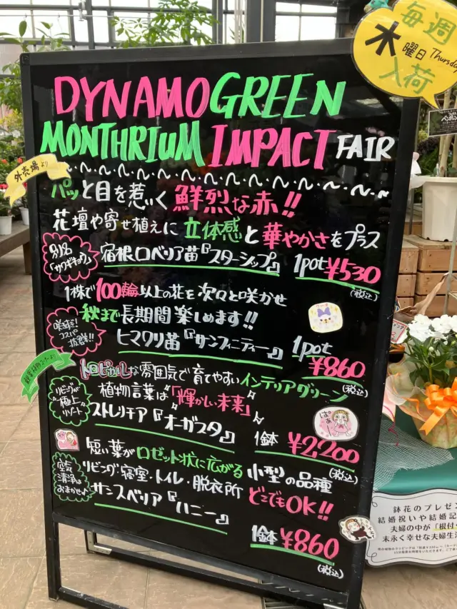 こんばんは（╹◡╹）

ブラックボード更新致しました‼️
今週のオススメ商品のご案内です！

DYNAMO GREEN MONTHRIUM IMPACT FAIR

🏵️外売場より🏵️

・パッと目を惹く鮮烈な赤！！
花壇や寄せ植えに立体感と華やかさをプラス

⭐️宿根ロベリア苗（別名サワギキョウ）『スターシップ』

・1株で100輪以上の花を次々と咲かせ、秋まで長期間楽しめます♩

⭐️ひまわり苗🌻『サンフィニティー』

🌱観葉コーナーより🌱

・トロピカルな雰囲気で育てやすいインテリアグリーン🪴植物言葉は「輝かしい未来」✨✨

⭐️ストレリチア『オーガスタ』

・短い葉がロゼット状に広がる小型の品種！
リビング・寝室・トイレ・脱衣所　どこでもOK！空気清浄✨✨はおまかせ👍

⭐️サンスベリア『ハニー』

他にもたくさんの植物🪴入荷しましたよ♩

ナーセリーズ3gではステキな商品満載で！皆様のご来店をスタッフ一同、心よりお待ちしております。ぜひお楽しみにご来店くださいね！

#ナーセリーズ3g
#宿根ロベリア
#ひまわり
#サンフィニティー
#ストレリチア