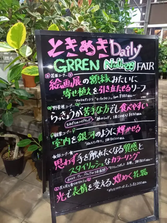 こんばんは(*´－｀*)ﾉ

今回は、8/17～8/20までの
ブラックボードの内容のご案内です‼️

🌼花苗コーナーから──────────────────────────────
　　絵画展の額縁みたいに寄せ植えを引き立たせるリーフ
　　　　　　　　　　　　アルテルナンテラ『マーブルクイーン』

🥦野菜種コーナーから─────────────────────────────
　　らっきょうが苦手な方でも食べやすい
　　　　　　　　　　　　玉ねぎとのハイブリッド　『越のレッド』

🌱観葉コーナーから──────────────────────────────
　　室内を銀河のように輝かせる
　　　　　　　　　　　　　　　『斑入りパキラ』

⭐鉢コーナーから────────────────────────────────
　　思わず手を触れたくなる質感と
　　　　　スタイリッシュなカラーリング
　　　　　　　　　　　『セラミックポット　各種』
　　　　　　　　　　　　　　ホワイト、グレー、ブラックの3色展開

🎀花と光と香りのマルシェから───────────────────────
　　光で表情を変える、煌めく花器
　　　　　　　　　　　　　　　　『ガラスフラワーベース』

是非お店に見に来てください(^-^)

※DMやコメントへの返信は控えさせていただきます。
詳しくはハイライトをご覧ください。

【営業時間変更のお知らせ】

1月21日（水）より、
営業時間が 9:00〜19:00 に変更となりました。

ご不便をおかけする場合もございますが、何卒ご理解のほど
よろしくお願いいたします。

#ナーセリーズgn
#熊本
#合志市
#園芸店
#緑のエンターテイメント空間
