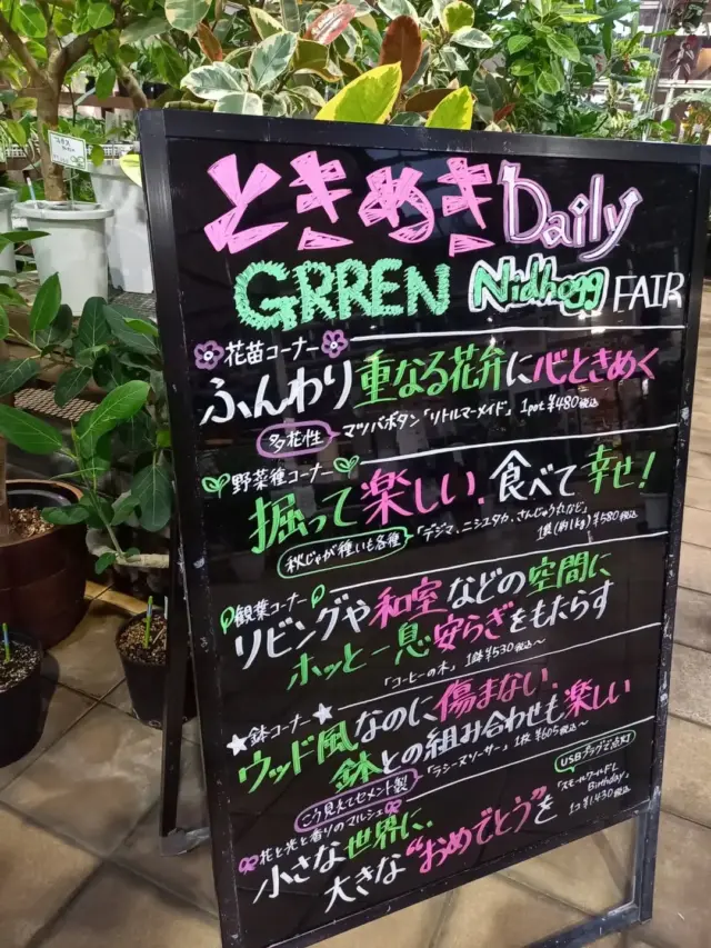 こんばんは(*´－｀*)ﾉ

今回は、8/24～8/27までの
ブラックボードの内容のご案内です‼️

🌼花苗コーナーから──────────────────────────────
　　ふんわり重なる花弁に心ときめく
　　　　　　　　　　　多花性　マツバボタン『リトルマーメイド』

🥔野菜種コーナーから─────────────────────────────
　　掘って楽しい、食べて幸せ！
　　　　　秋じゃが種いも各種
　　　　　　　　　　　『デジマ、ニシユタカ、さんじゅう丸など』

🌱観葉コーナーから──────────────────────────────
　　リビングや和室などの空間にホッと一息安らぎをもたらす
　　　　　　　　　　　　『コーヒーの木』

⭐鉢コーナーから────────────────────────────────
　　ウッド風なのに痛まない、鉢との組み合わせも楽しい
　　　　　　　　　　『ラシーヌソーサー』　こう見えてセメント製

🎀花と光と香りのマルシェから───────────────────────
　　小さな世界に、大きな“おめでとう”を
　　　　　　　　　　『スモールワールドL　Birthday』
　　　　　　　　　　　　　　　　　　　　　　USBプラグで点灯

是非お店に見に来てください(^-^)

※DMやコメントへの返信は控えさせていただきます。
詳しくはハイライトをご覧ください。

【営業時間変更のお知らせ】

1月21日（水）より、
営業時間が 9:00〜19:00 に変更となりました。

ご不便をおかけする場合もございますが、何卒ご理解のほど
よろしくお願いいたします。

#ナーセリーズgn
#熊本
#合志市
#園芸店
#緑のエンターテイメント空間