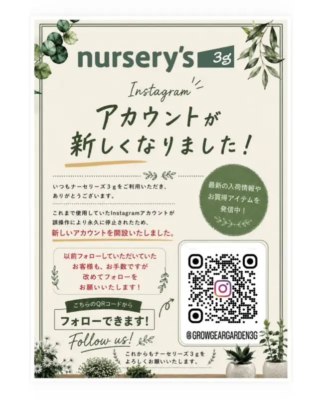 ナーセリーズ3gより
【Instagramアカウント変更のお知らせです】

いつもナーセリーズ本店のInstagramをご覧いただき
ありがとうございます😊

このたび、ナーセリーズ3gの
Instagramアカウントが新しくなりました

今後は新しいアカウントで
たくさんの情報をお届けしていきます！

お手数ではございますが
新しいアカウントをフォローして
投稿をチェックしてくださいね✨

今後ともナーセリーズ3店舗ともに
よろしくお願いいたします😊

#ナーセリーズ (本店)
熊本市北区龍田弓削2-2-1
TEL096-338-7124

#ナーセリーズgn (グリーネスト)
熊本県合志市竹迫2280
アンビー熊本内
TEL096-276-6889

#ナーセリーズ3g (グロウ•ギア•ガーデン)
熊本県人吉市下林町122-1
スーパーセンターニシムタ人吉内
TEL0966-32-8501

#園芸
#緑のある暮らし